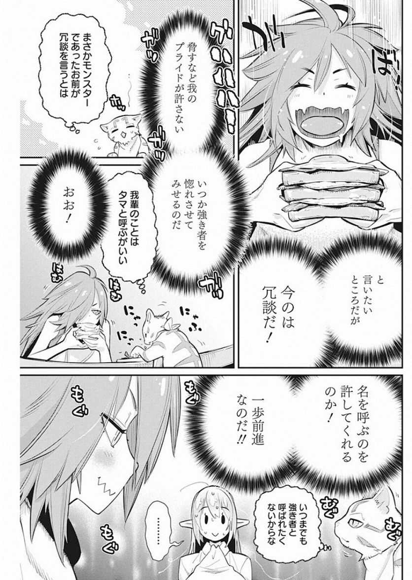 Sランクモンスターの《ベヒーモス》だけど、猫と間違われてエルフ娘の騎士(ペット)として暮らしてます 第22話 - Page 17