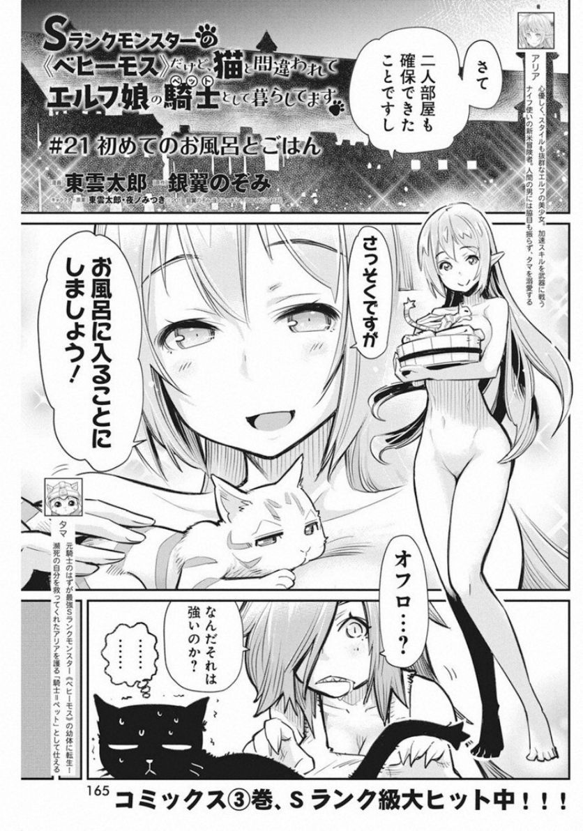 Sランクモンスターの《ベヒーモス》だけど、猫と間違われてエルフ娘の騎士(ペット)として暮らしてます 第21話 - Page 1