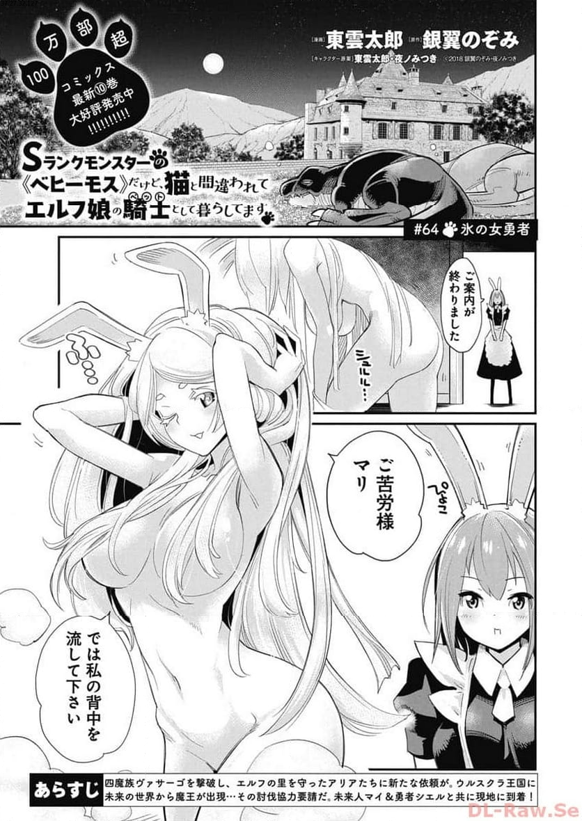 Sランクモンスターの《ベヒーモス》だけど、猫と間違われてエルフ娘の騎士(ペット)として暮らしてます 第64話 - Page 1