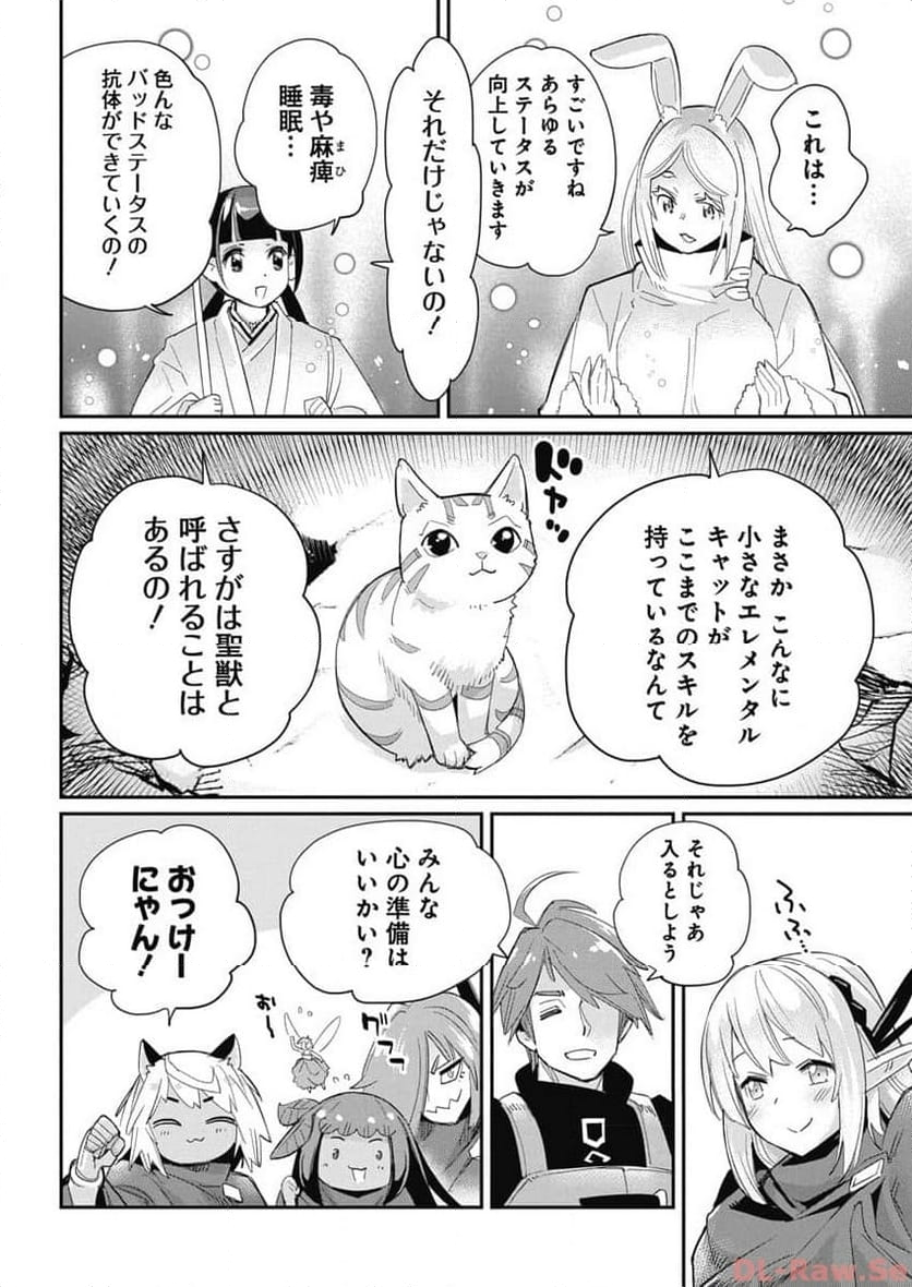 Sランクモンスターの《ベヒーモス》だけど、猫と間違われてエルフ娘の騎士(ペット)として暮らしてます 第64話 - Page 12