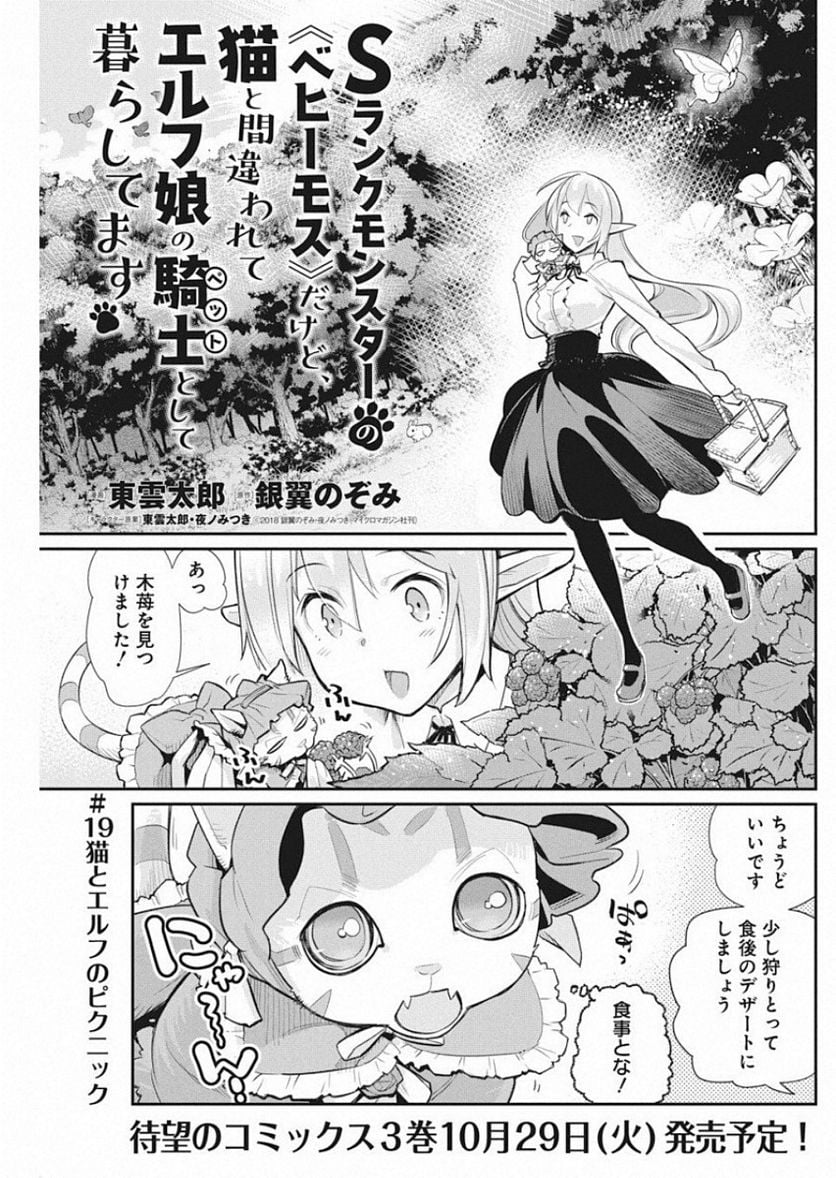 Sランクモンスターの《ベヒーモス》だけど、猫と間違われてエルフ娘の騎士(ペット)として暮らしてます 第19話 - Page 1