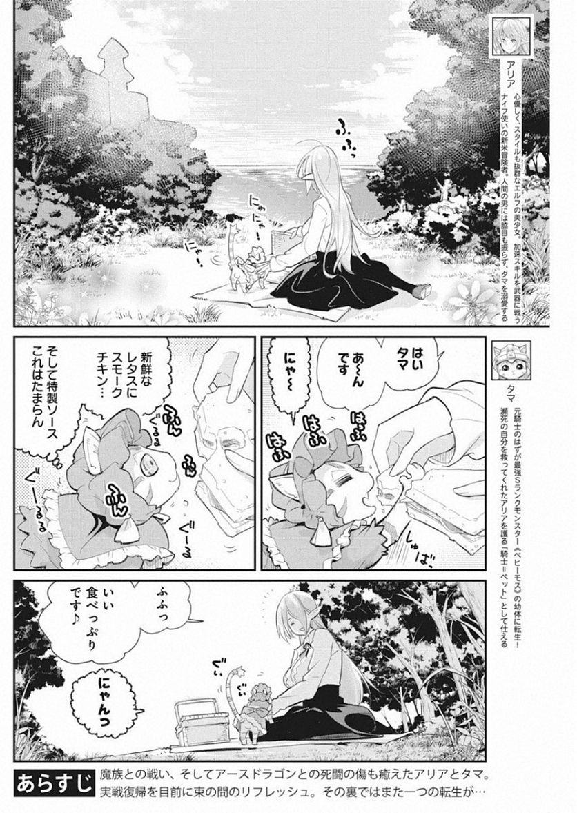 Sランクモンスターの《ベヒーモス》だけど、猫と間違われてエルフ娘の騎士(ペット)として暮らしてます 第19話 - Page 2