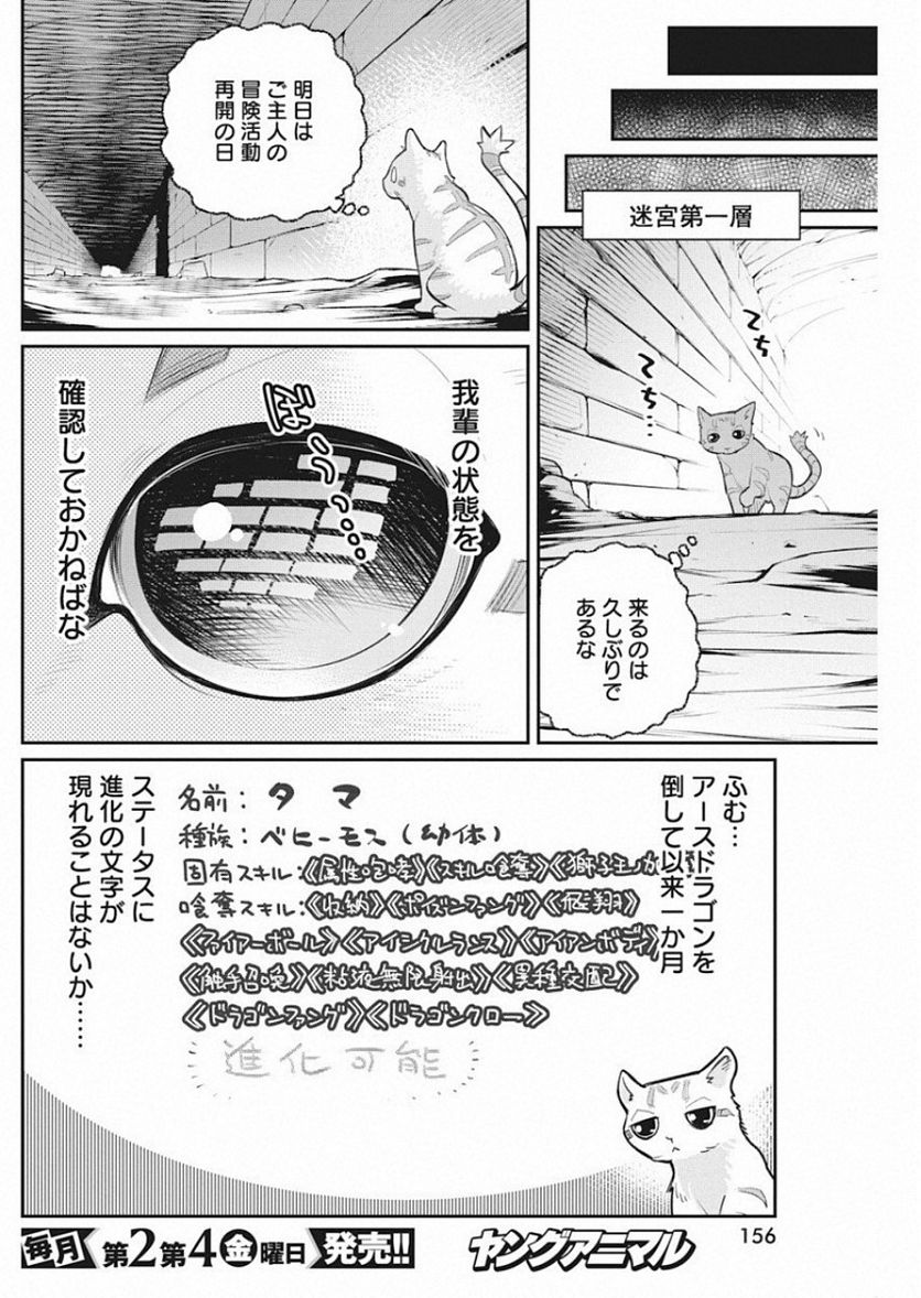 Sランクモンスターの《ベヒーモス》だけど、猫と間違われてエルフ娘の騎士(ペット)として暮らしてます 第19話 - Page 8