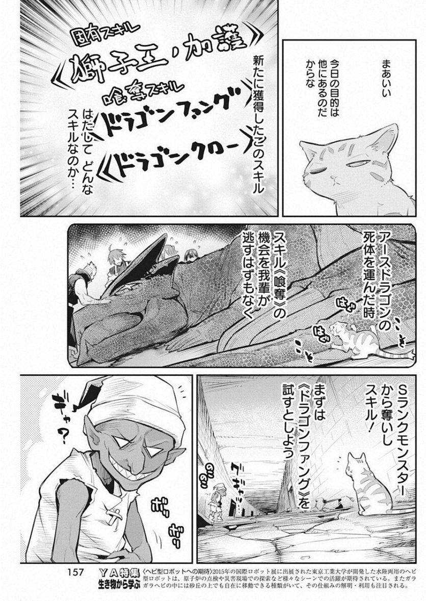 Sランクモンスターの《ベヒーモス》だけど、猫と間違われてエルフ娘の騎士(ペット)として暮らしてます 第19話 - Page 9