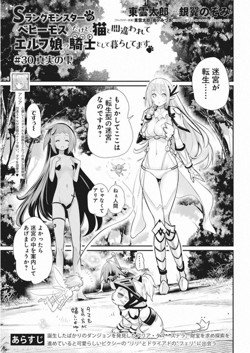 Sランクモンスターの《ベヒーモス》だけど、猫と間違われてエルフ娘の騎士(ペット)として暮らしてます 第30話 - Page 1