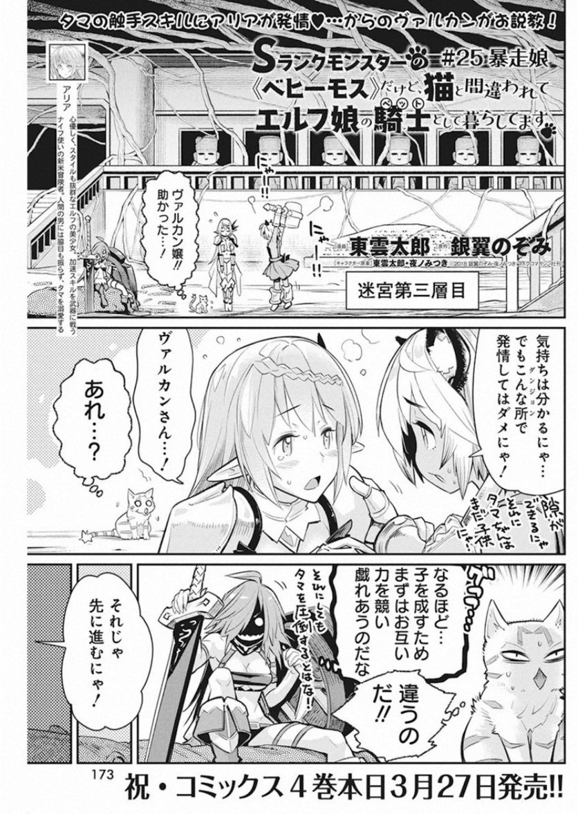 Sランクモンスターの《ベヒーモス》だけど、猫と間違われてエルフ娘の騎士(ペット)として暮らしてます 第25話 - Page 1