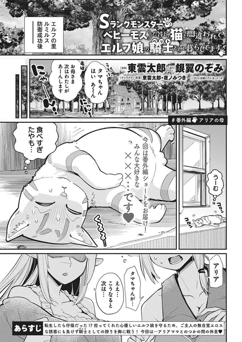 Sランクモンスターの《ベヒーモス》だけど、猫と間違われてエルフ娘の騎士(ペット)として暮らしてます 第65.5話 - Page 1