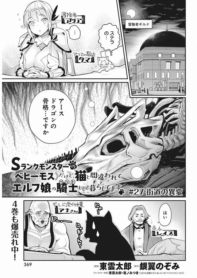 Sランクモンスターの《ベヒーモス》だけど、猫と間違われてエルフ娘の騎士(ペット)として暮らしてます 第27話 - Page 1