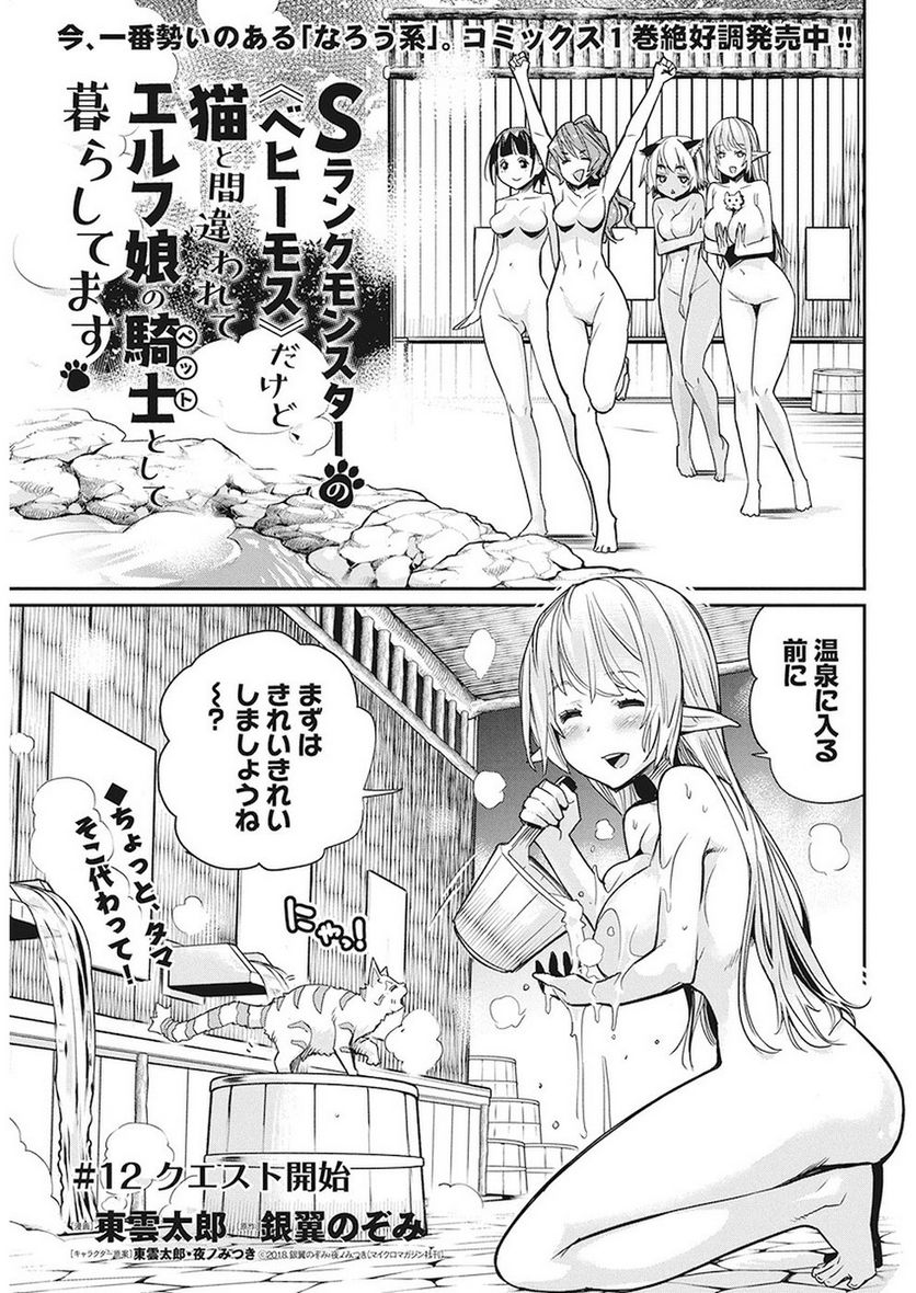 Sランクモンスターの《ベヒーモス》だけど、猫と間違われてエルフ娘の騎士(ペット)として暮らしてます 第12話 - Page 1