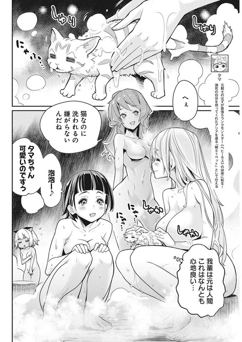 Sランクモンスターの《ベヒーモス》だけど、猫と間違われてエルフ娘の騎士(ペット)として暮らしてます 第12話 - Page 2