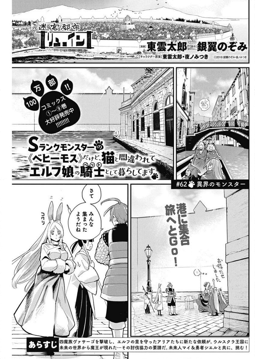 Sランクモンスターの《ベヒーモス》だけど、猫と間違われてエルフ娘の騎士(ペット)として暮らしてます 第62話 - Page 1