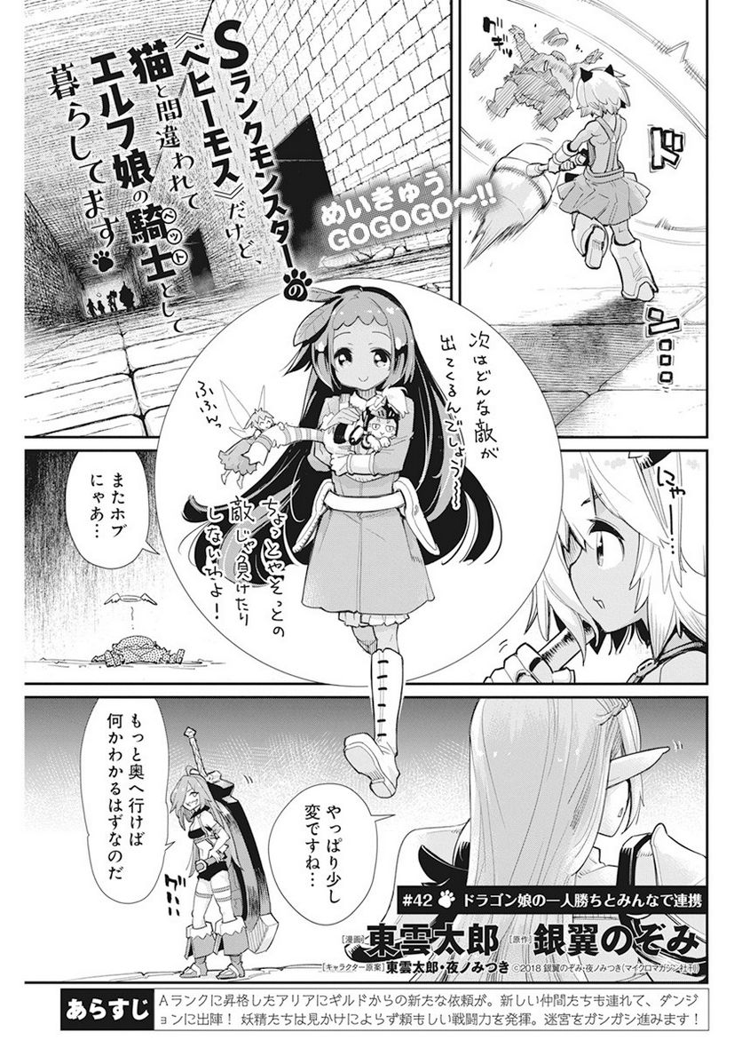 Sランクモンスターの《ベヒーモス》だけど、猫と間違われてエルフ娘の騎士(ペット)として暮らしてます 第42話 - Page 1