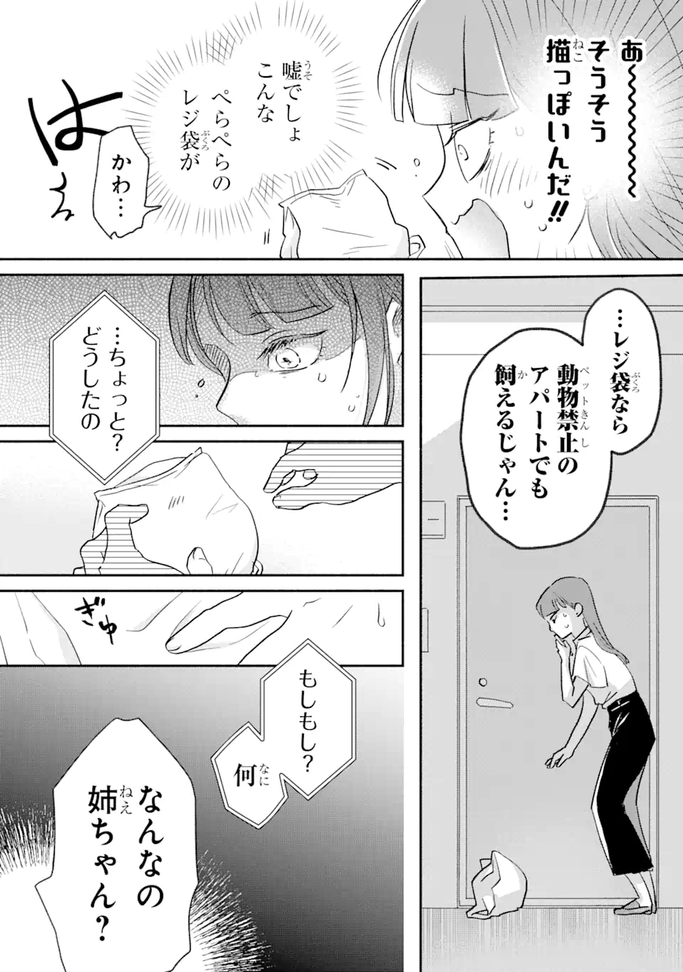 私のかわいいレジ袋ねこ 第1.1話 - Page 13