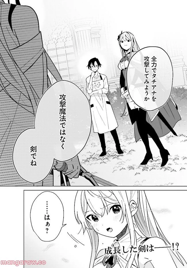 辺境都市の育成者 始まりの雷姫 第13.2話 - Page 11