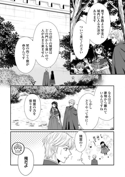 精霊守りの薬士令嬢は、婚約破棄を突きつけられたようです - 第19話 - Page 12