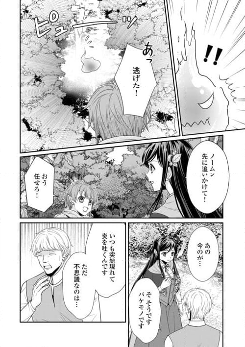 精霊守りの薬士令嬢は、婚約破棄を突きつけられたようです - 第17話 - Page 8