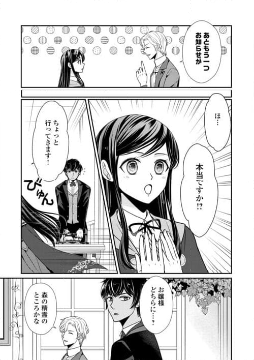 精霊守りの薬士令嬢は、婚約破棄を突きつけられたようです - 第21話 - Page 13