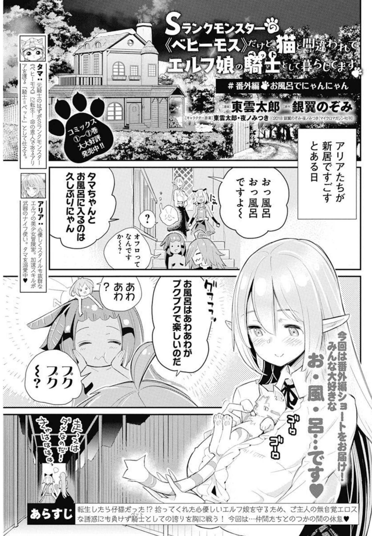 Sランクモンスターの《ベヒーモス》だけどネコと間違われてエルフ娘の騎士として暮らしています 第49.5話 - Page 1