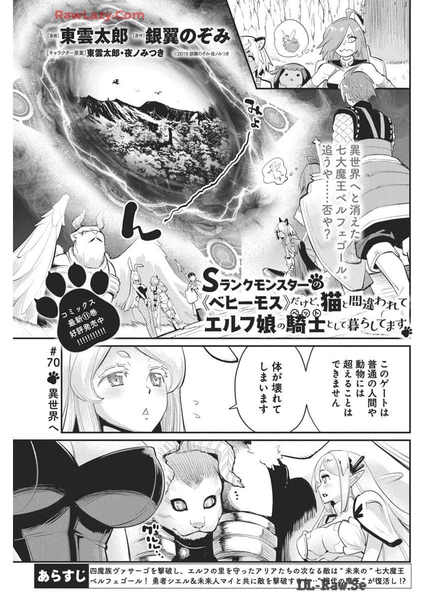 Sランクモンスターの《ベヒーモス》だけどネコと間違われてエルフ娘の騎士として暮らしています 第70話 - Page 1