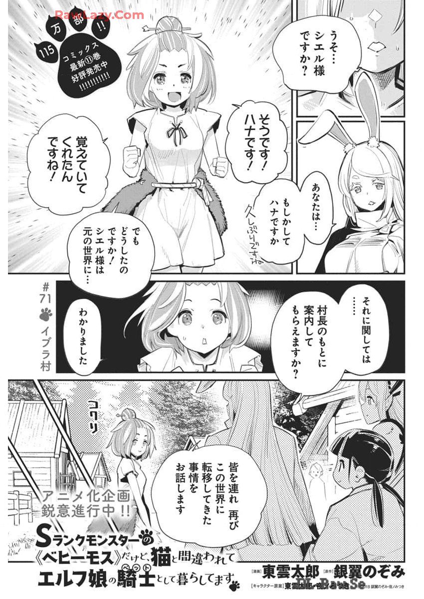 Sランクモンスターの《ベヒーモス》だけどネコと間違われてエルフ娘の騎士として暮らしています 第71話 - Page 1