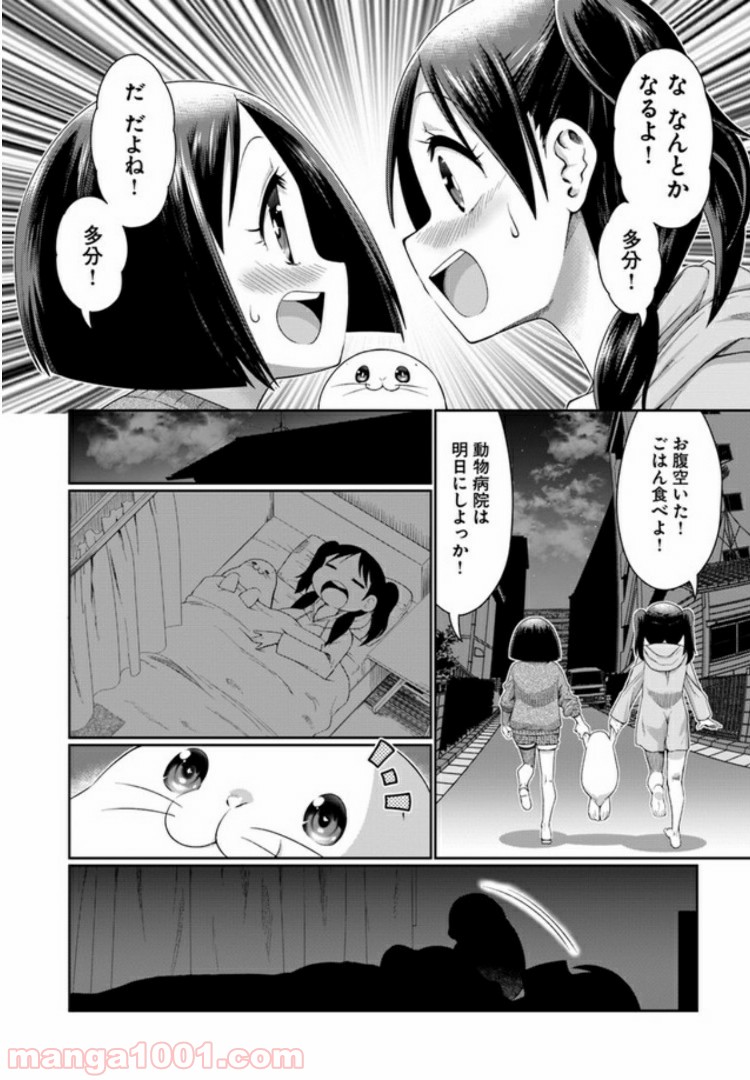 ふりむけばアザラシ 第1話 - Page 13