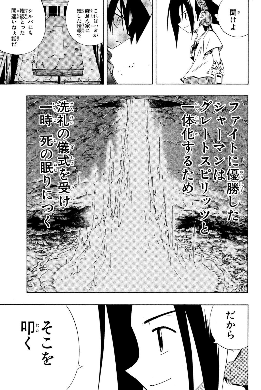 El rey shaman Król Szamanów Shaman King (Vua pháp thuật) シャーマンキング - 第219話 - Page 13