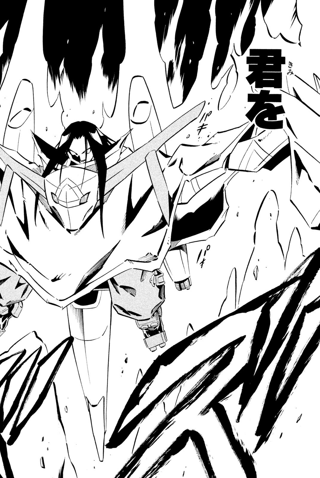 El rey shaman Król Szamanów Shaman King (Vua pháp thuật) シャーマンキング - 第250話 - Page 10