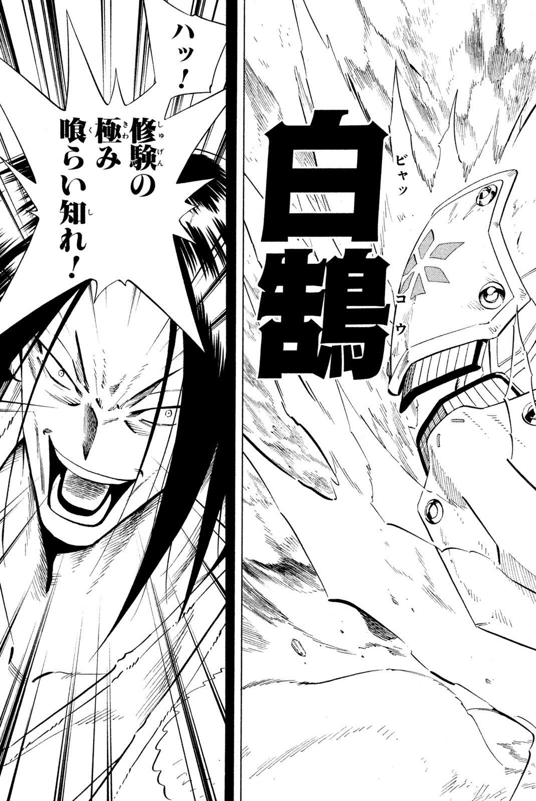 El rey shaman Król Szamanów Shaman King (Vua pháp thuật) シャーマンキング - 第235話 - Page 19