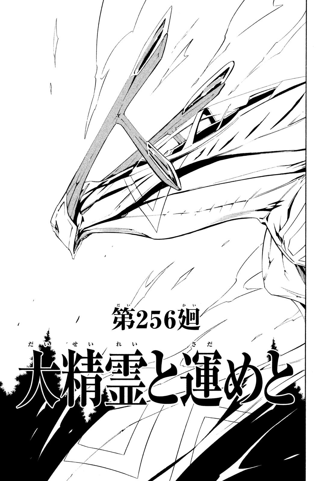 El rey shaman Król Szamanów Shaman King (Vua pháp thuật) シャーマンキング - 第256話 - Page 3