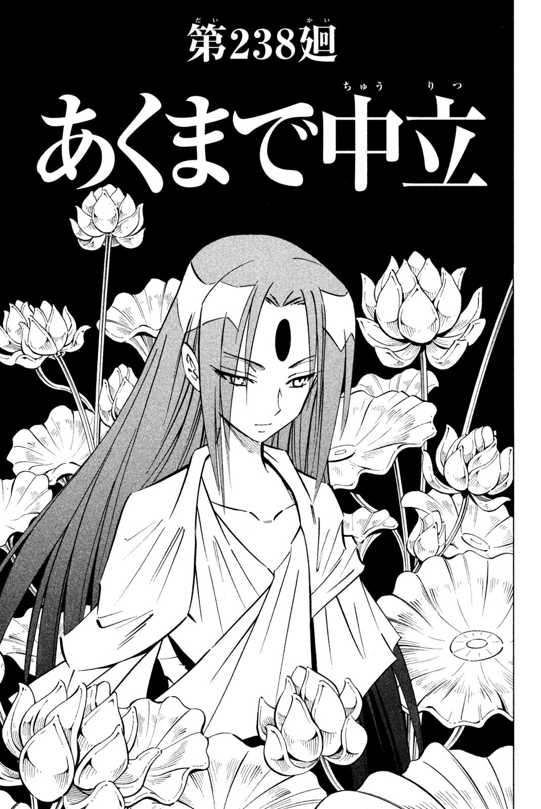 El rey shaman Król Szamanów Shaman King (Vua pháp thuật) シャーマンキング - 第238話 - Page 3