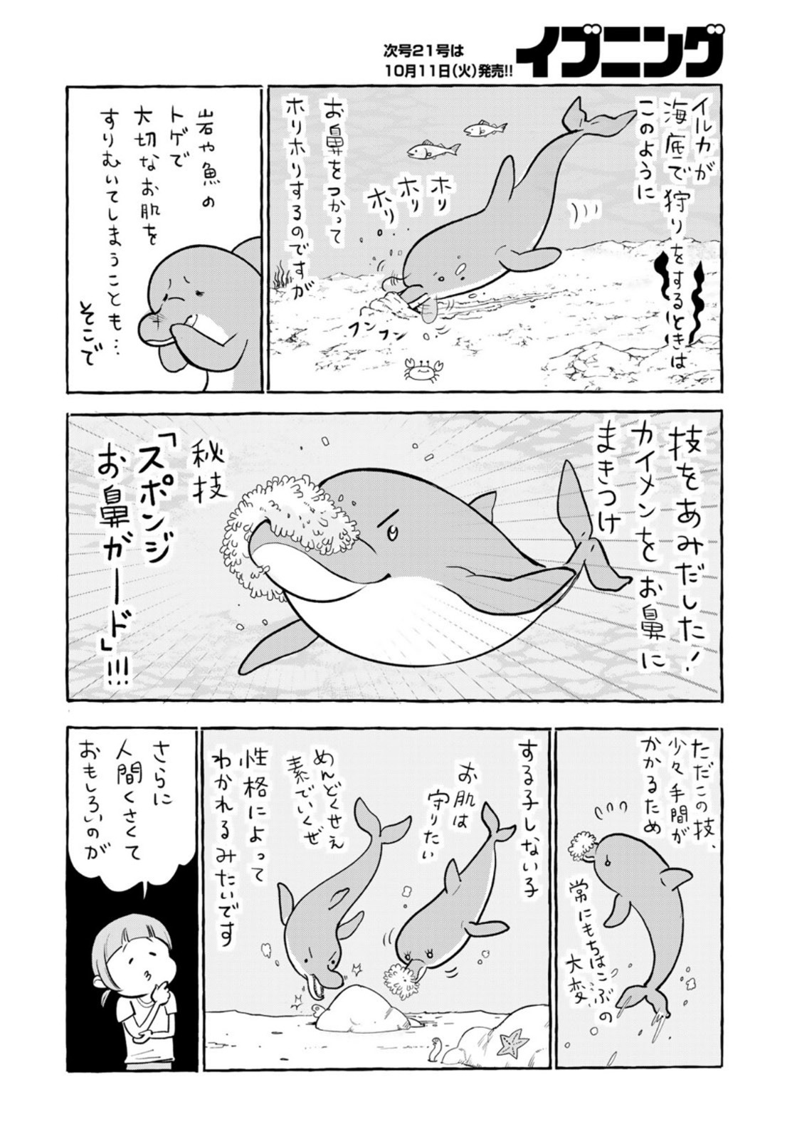 いきものがたり 第24話 - Page 2