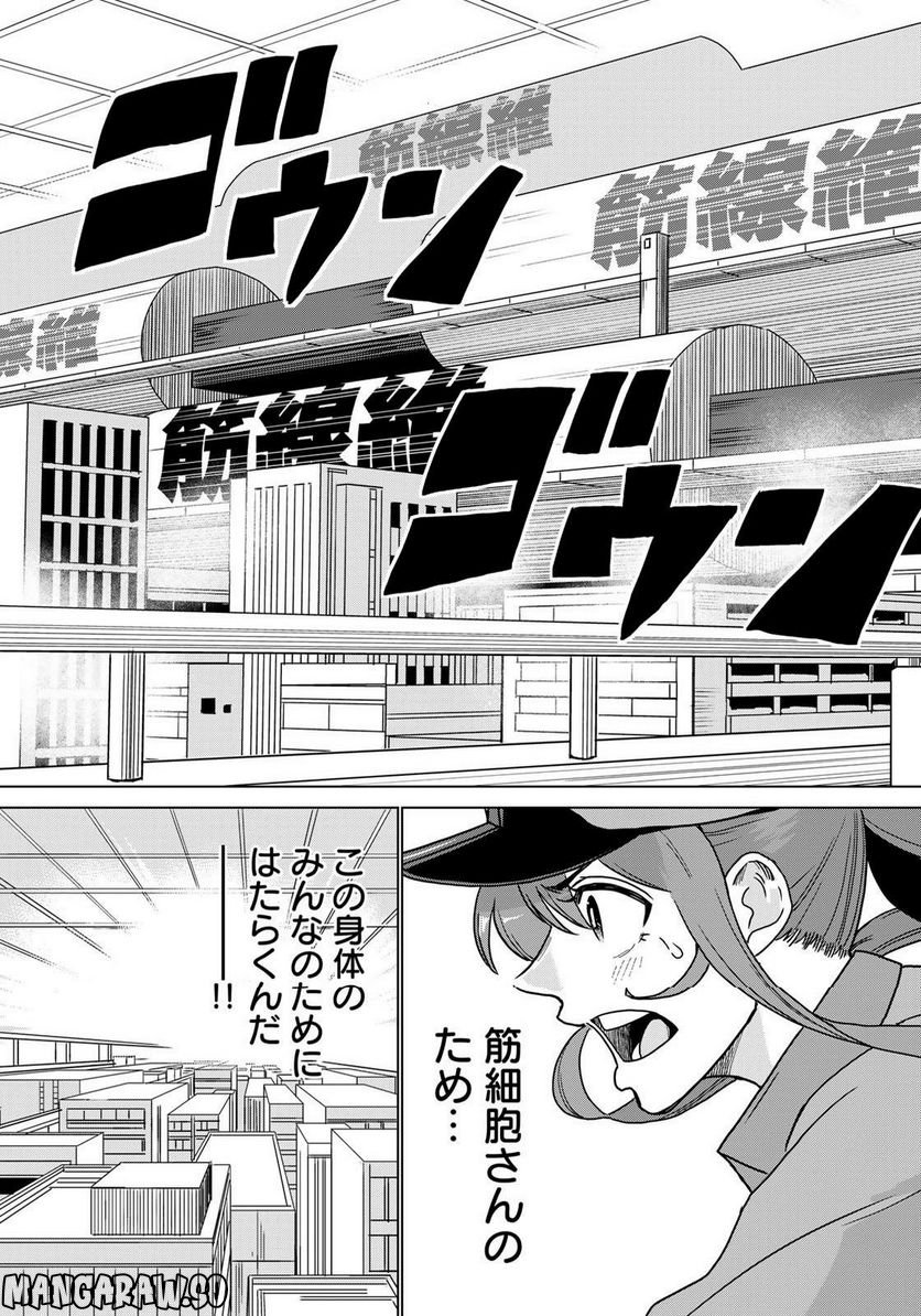 はたらく細胞マッスル 第1話 - Page 25