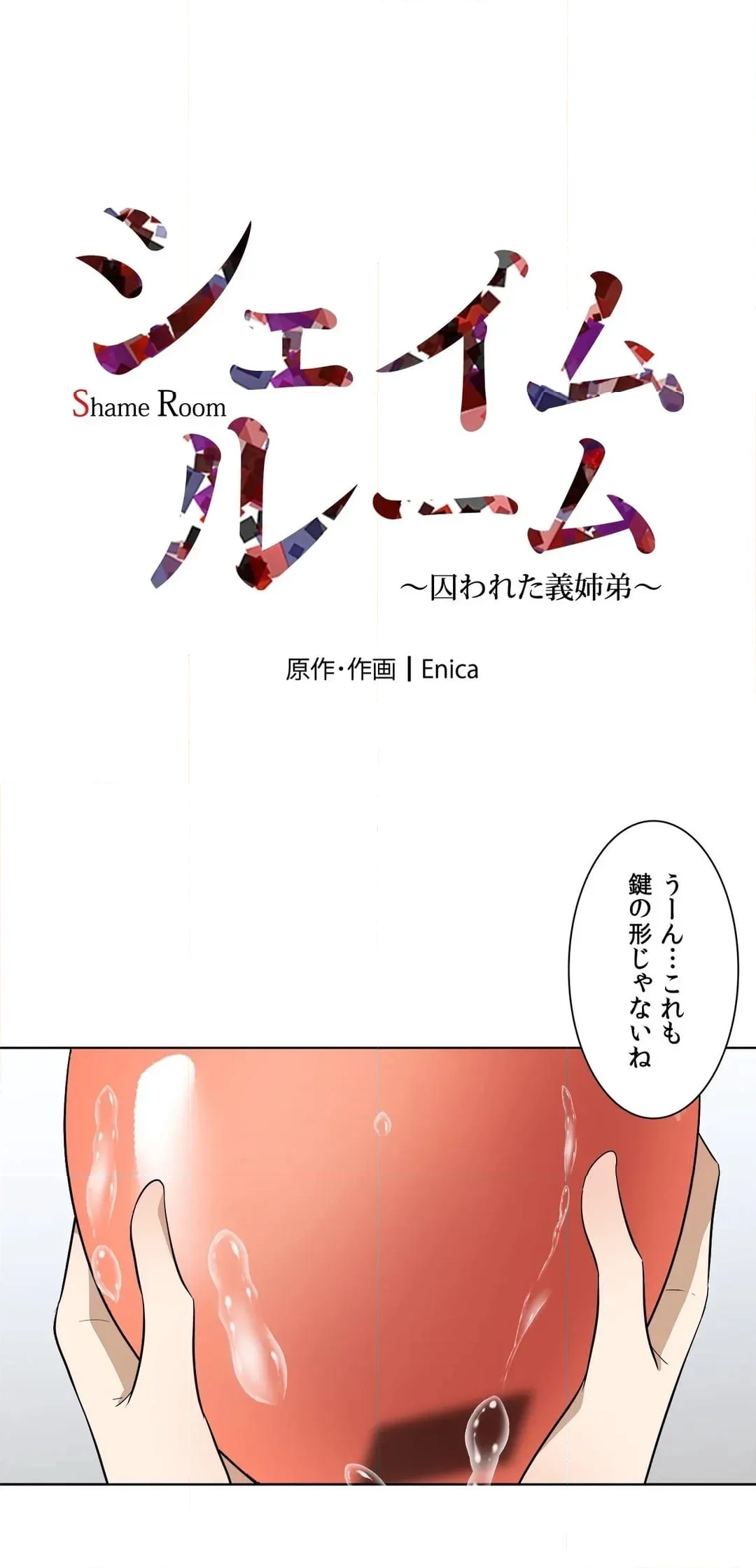 シェイムルーム〜囚われた義姉弟〜 第9話 - Page 1