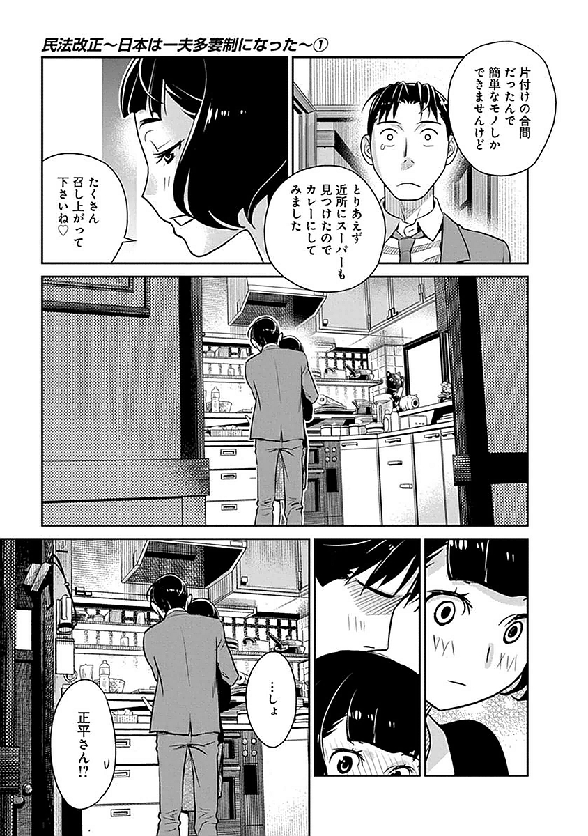 民法改正～日本は一夫多妻制になった～ 第6話 - Page 19