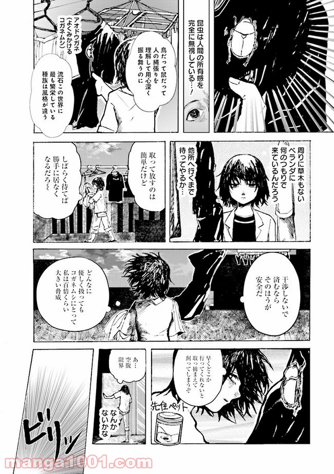 ご飯は私を裏切らない 第11.5話 - Page 5