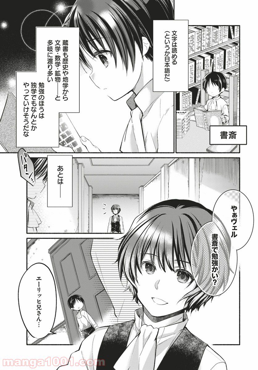 八男って、それはないでしょう！ ～はじまりの物語～ 第1話 - Page 17