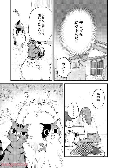 猫神主人のばけねこカフェ 第9話 - Page 9