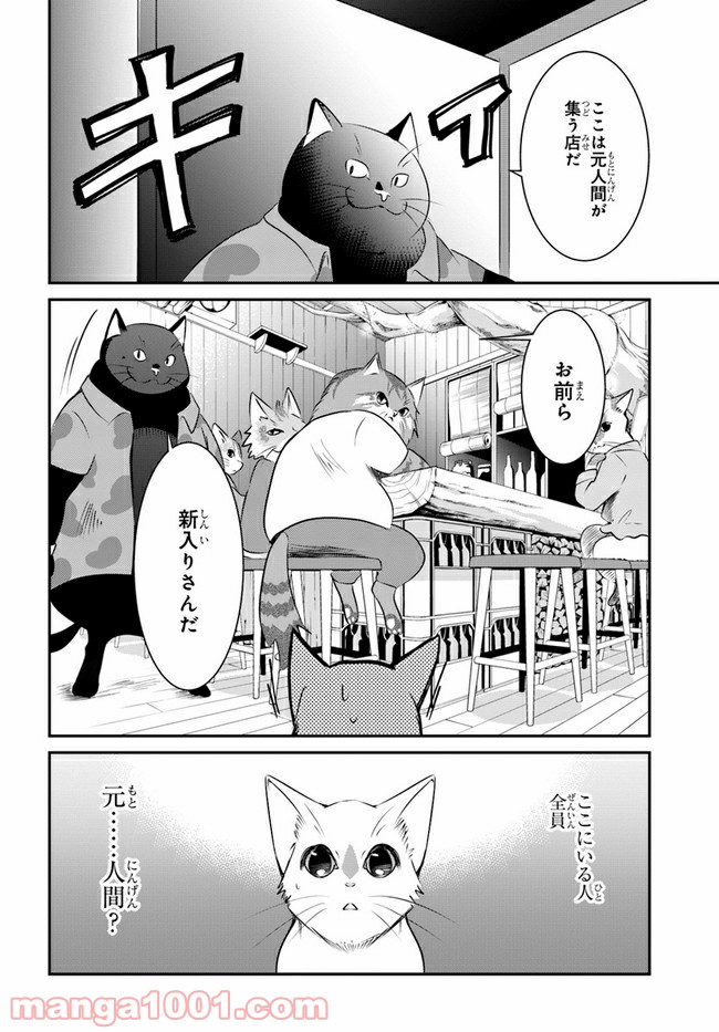 泣きたい私は猫をかぶる 第10話 - Page 8