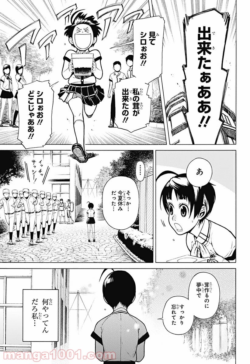 ダンダダン 第30.5話 - Page 37