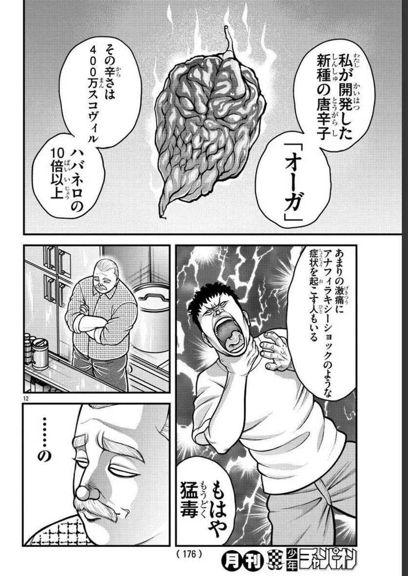 バキ外伝　ガイアとシコルスキー～ときどきノムラ　二人だけど三人暮らし～ 第15話 - Page 12