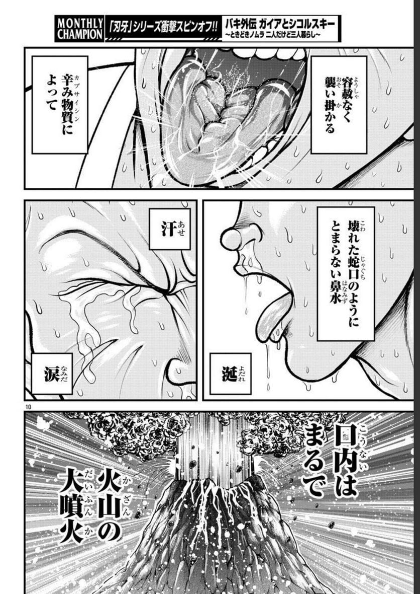 バキ外伝　ガイアとシコルスキー～ときどきノムラ　二人だけど三人暮らし～ 第15話 - Page 10