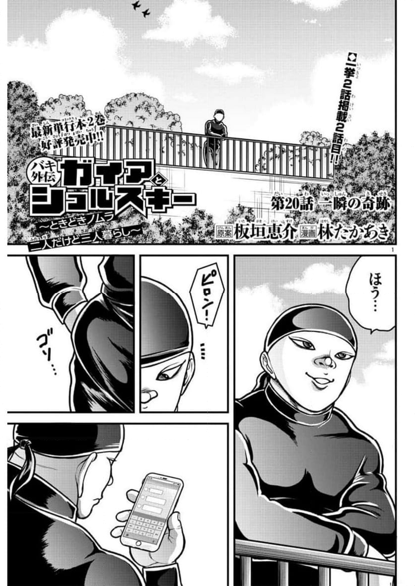 バキ外伝　ガイアとシコルスキー～ときどきノムラ　二人だけど三人暮らし～ 第19話 - Page 22