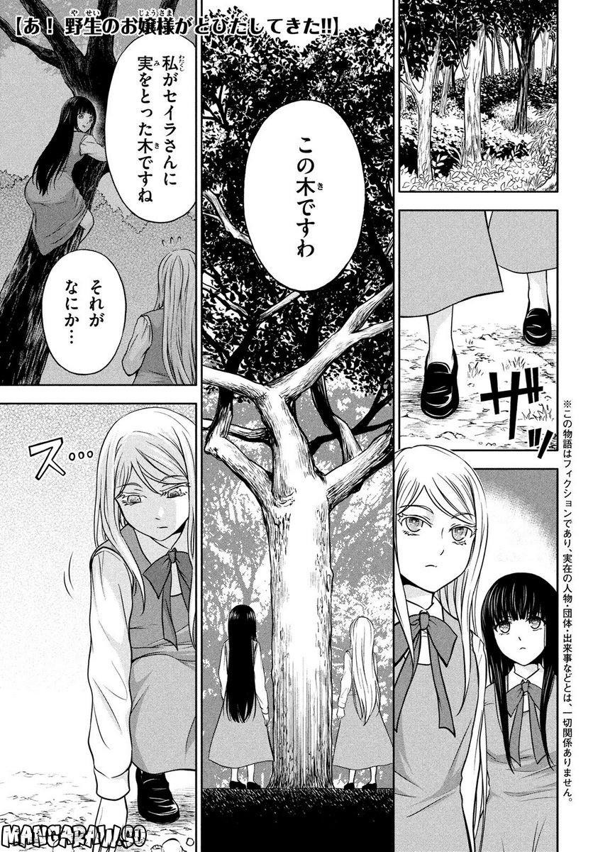 あ！ 野生のお嬢様がとびだしてきた!! 第7話 - Page 1