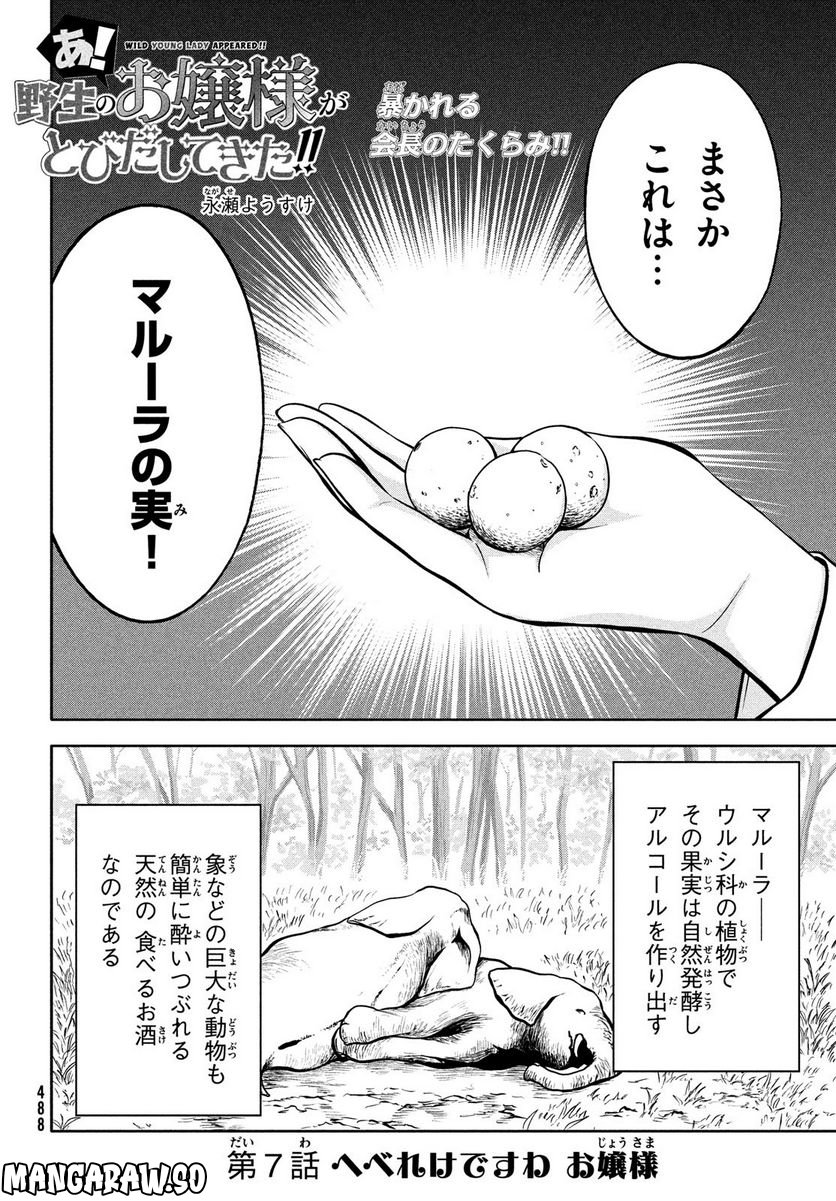 あ！ 野生のお嬢様がとびだしてきた!! 第7話 - Page 2