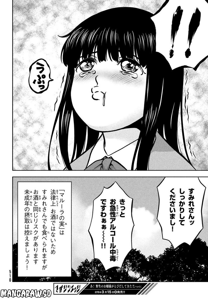 あ！ 野生のお嬢様がとびだしてきた!! 第7話 - Page 24