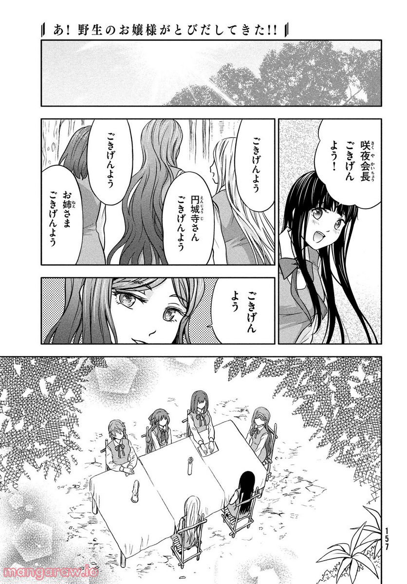 あ！ 野生のお嬢様がとびだしてきた!! 第3話 - Page 7