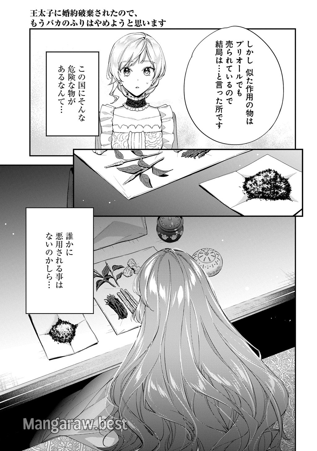 王太子に婚約破棄されたので、もうバカのふりはやめようと思います 第26話 - Page 33