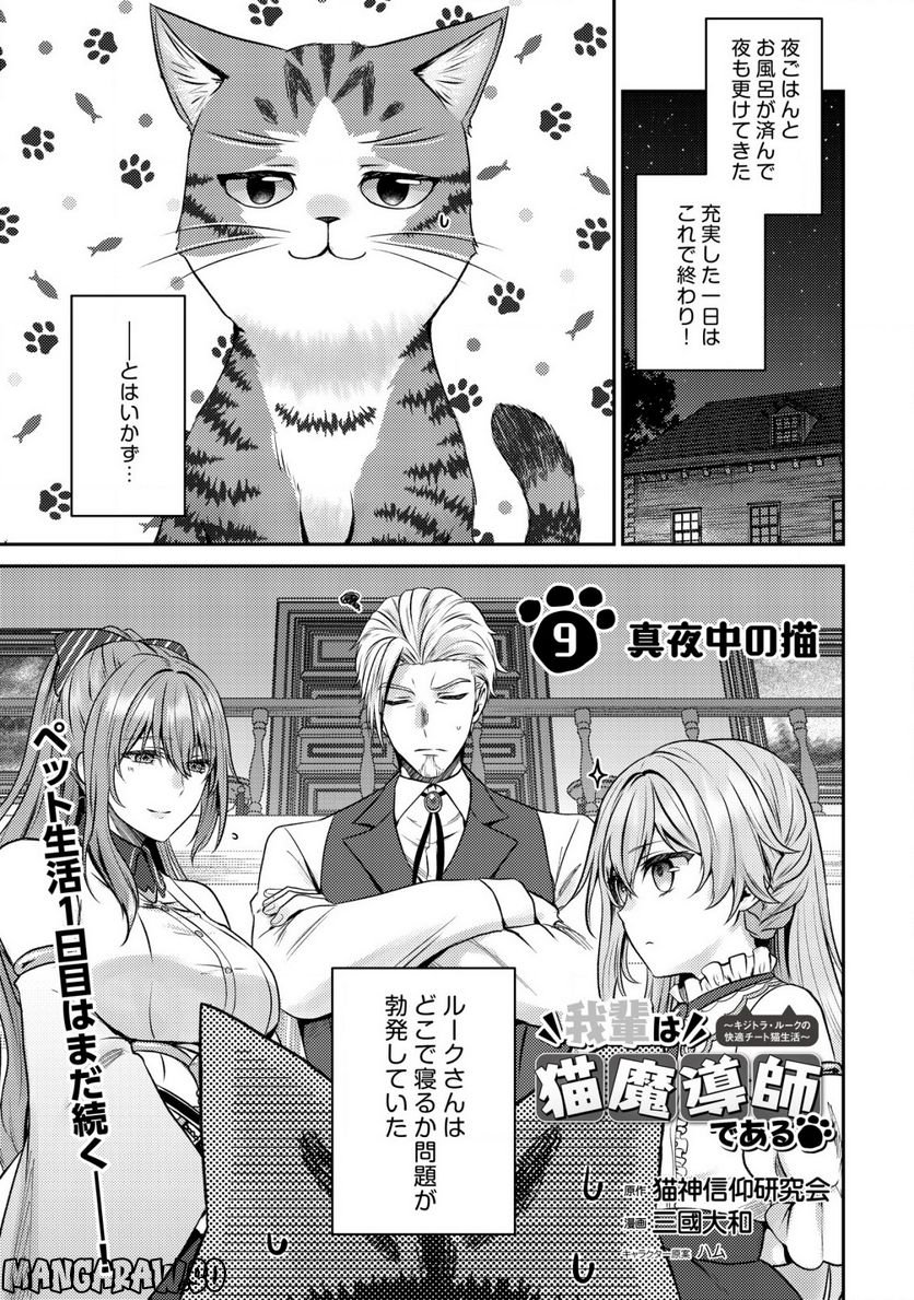 我輩は猫魔導師である～キジトラ・ルークの快適チート猫生活～ - 第9.1話 - Page 1