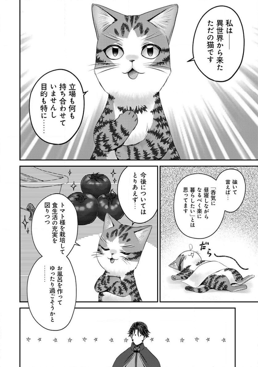 我輩は猫魔導師である～キジトラ・ルークの快適チート猫生活～ - 第14.2話 - Page 11