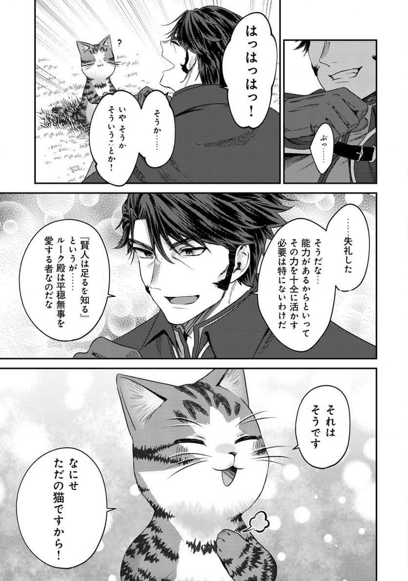 我輩は猫魔導師である～キジトラ・ルークの快適チート猫生活～ - 第14.2話 - Page 12